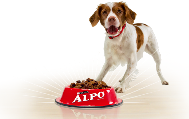 happy_resized_alpo